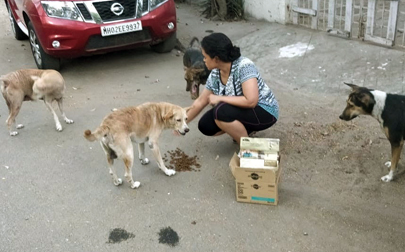 Going beyond humans: GRT Hotels and Resorts take the initiative to feed the strays